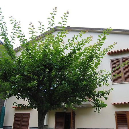 Apartament Il Susino Tirrenia Zewnętrze zdjęcie