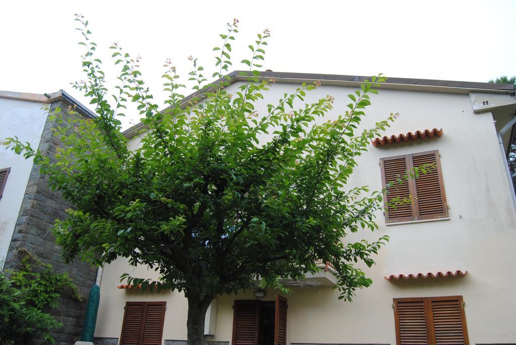 Apartament Il Susino Tirrenia Zewnętrze zdjęcie